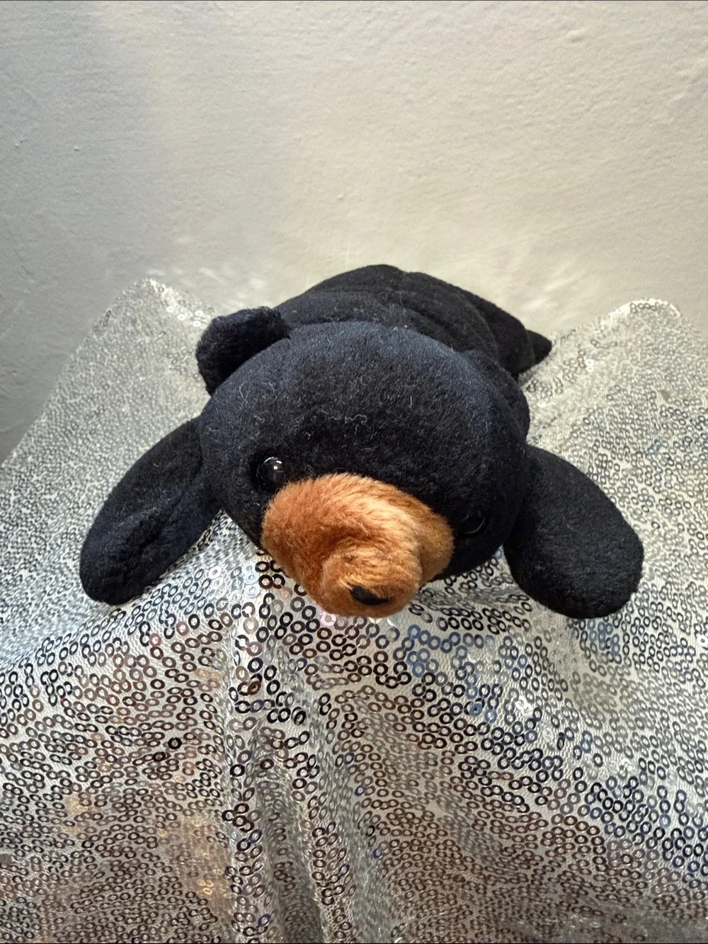 Ty Blackie the Bear Beanie Baby - No Heart Tag